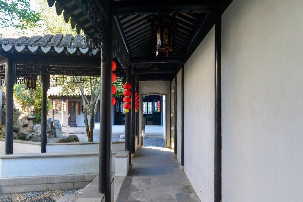 受困的西红柿